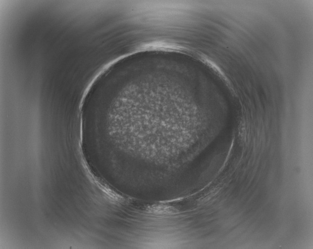 X0000073831323200608311858