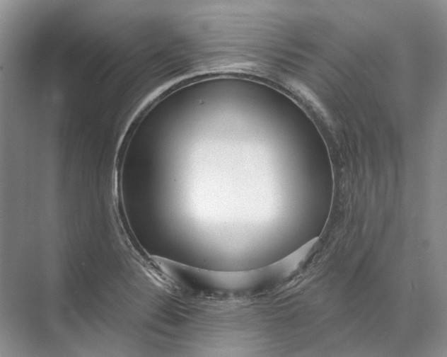 X0000073831324200608311858