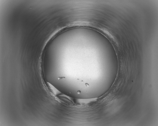 X0000073831325200608311858