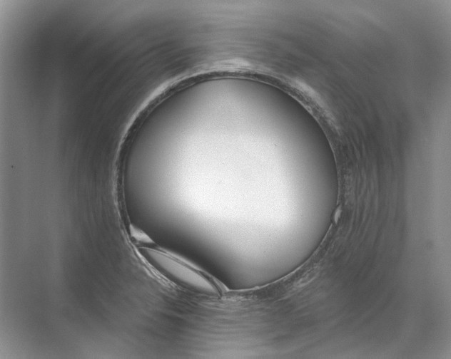 X0000073831326200608311858