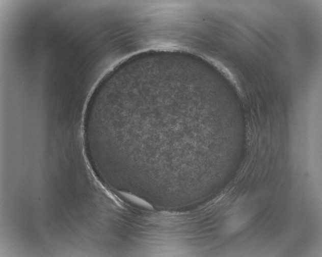 X0000073831327200608311858