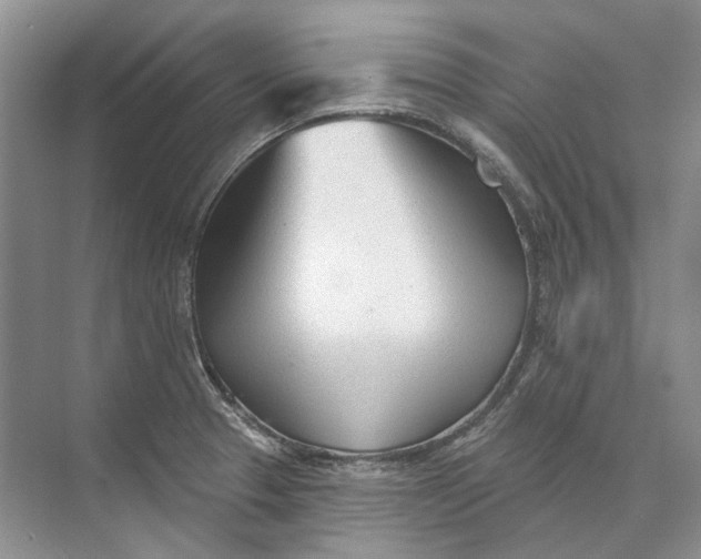 X0000073831329200608311858