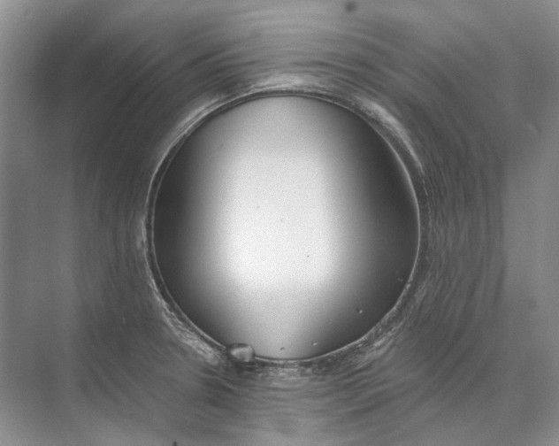 X0000073831330200608311858