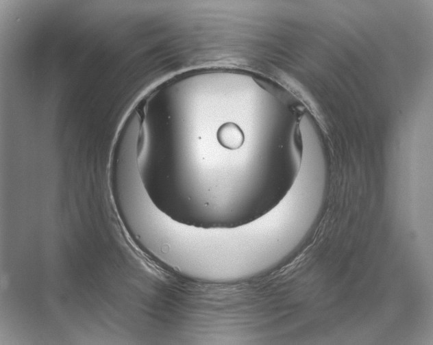 X0000073831332200608311858