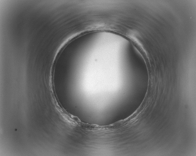 X0000073831336200608311858