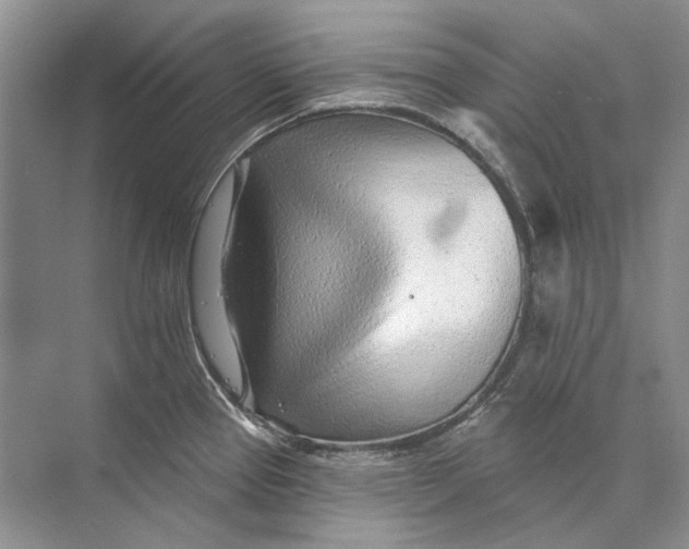 X0000073831337200608311858