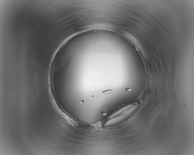 X0000073831339200608311859