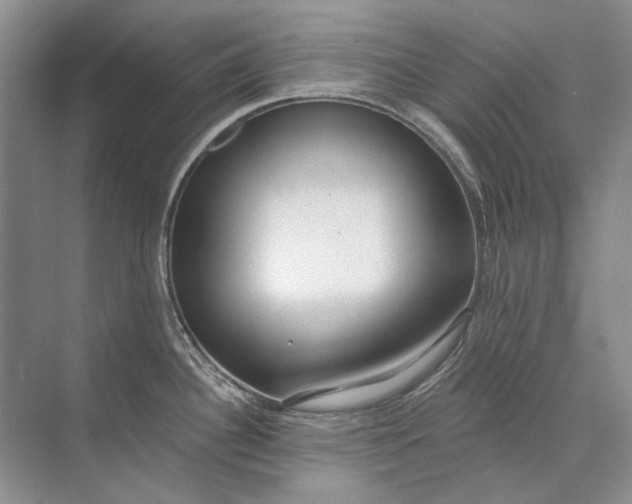 X0000073831340200608311859