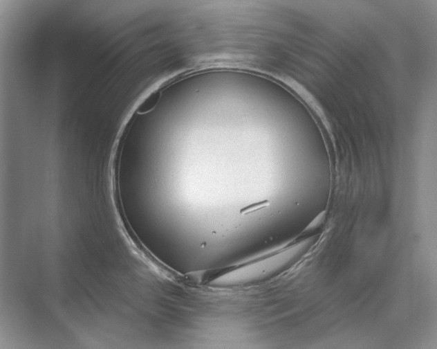 X0000073831341200608311859