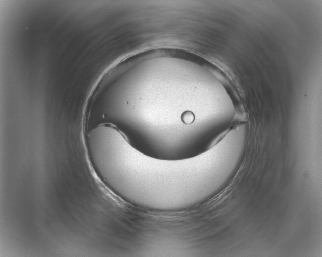 X0000073831342200608311859