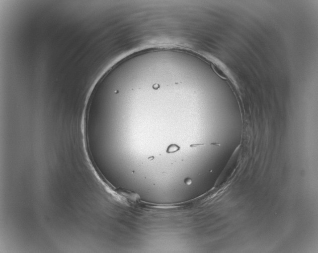 X0000073831343200608311859