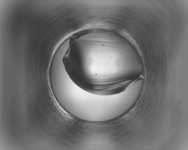 X0000073831344200608311859