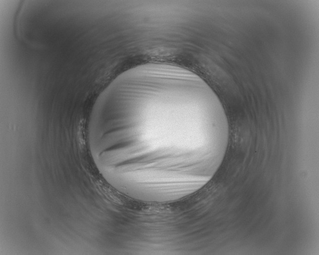 X0000073831346200608311858