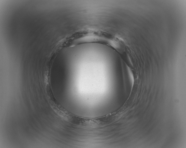 X0000073831348200608311858