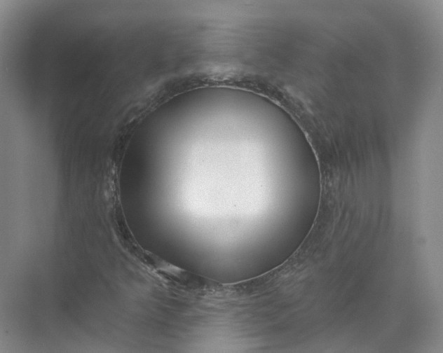 X0000073831349200608311858