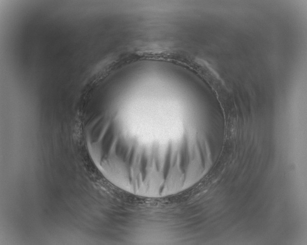 X0000073831350200608311858