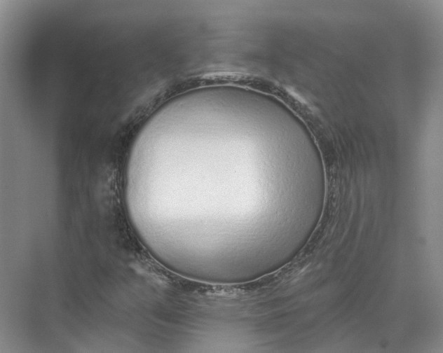 X0000073831351200608311858