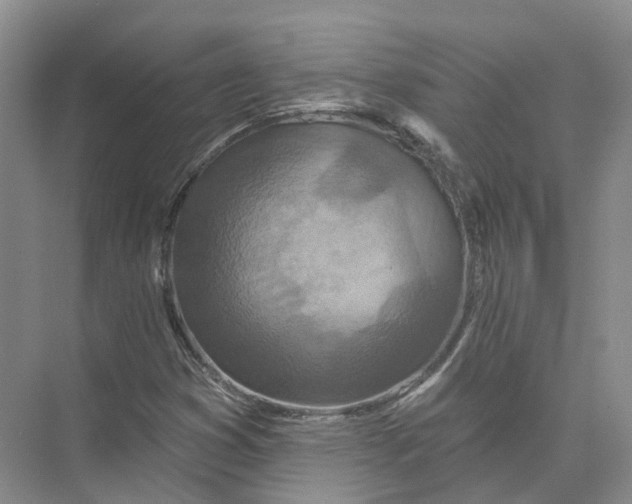 X0000073831353200608311858