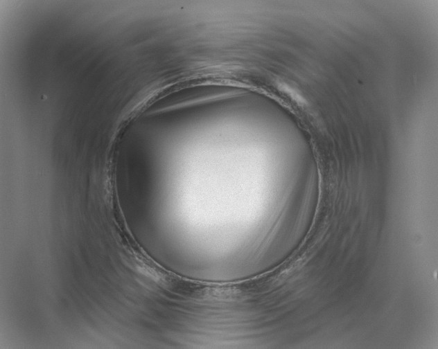 X0000073831354200608311858