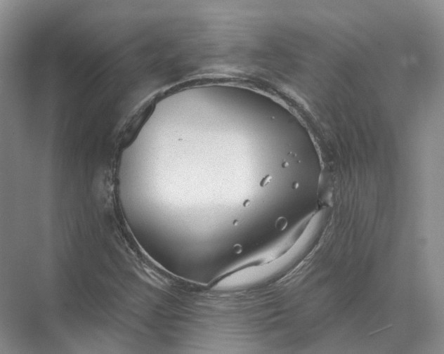 X0000073831355200608311858