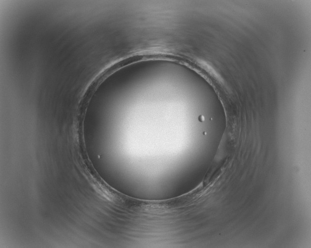 X0000073831356200608311858