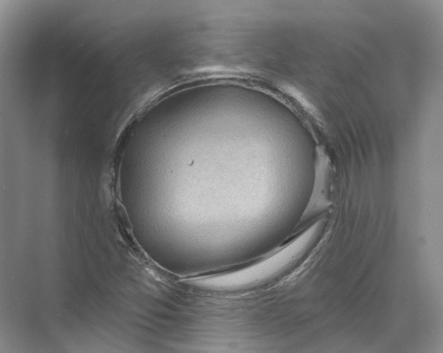 X0000073831357200608311858