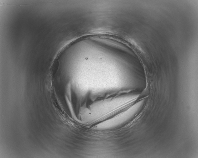 X0000073831358200608311858