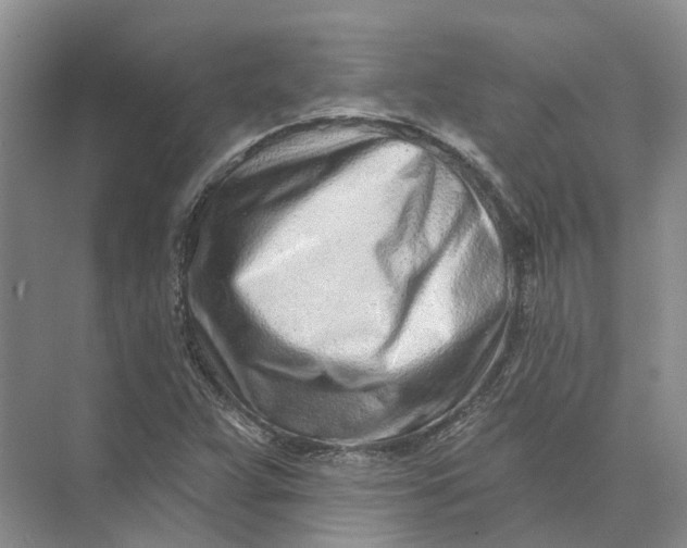 X0000073831359200608311858