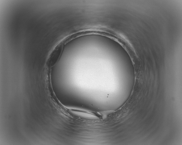 X0000073831360200608311858