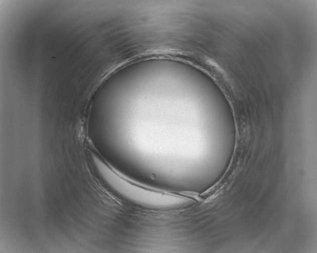 X0000073831361200608311858