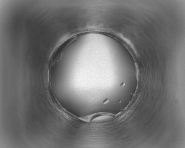 X0000073831365200608311857