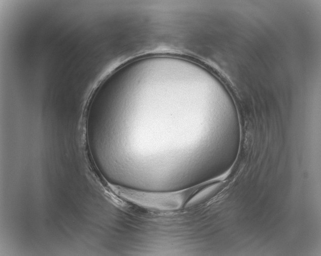 X0000073831367200608311857