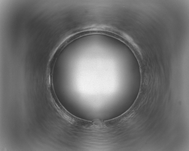 X0000073831368200608311857