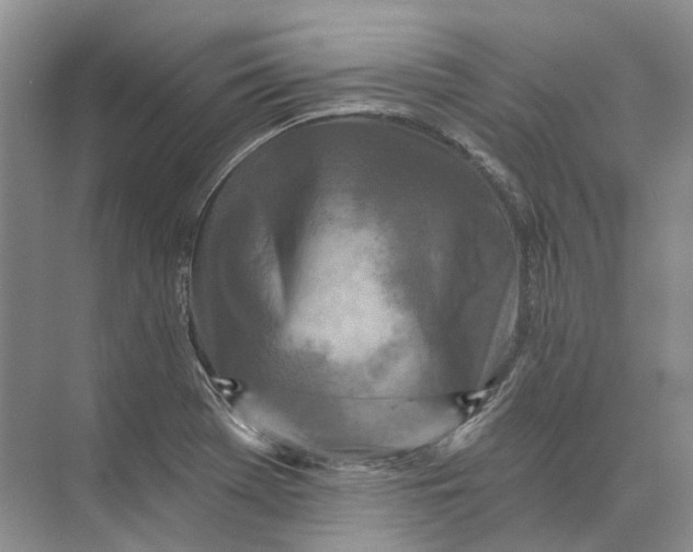 X0000073831369200608311857