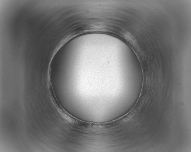 X0000073831370200608311857