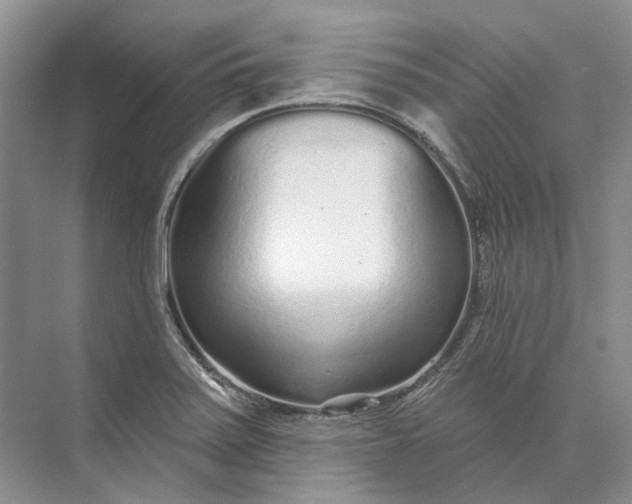 X0000073831371200608311857