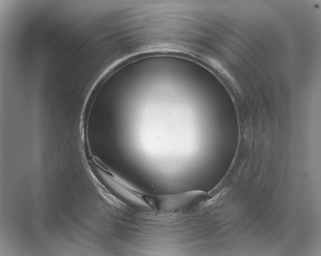 X0000073831372200608311857