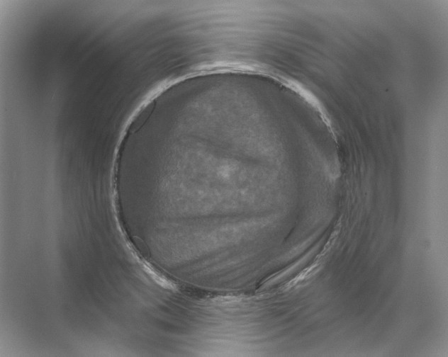 X0000073831373200608311857