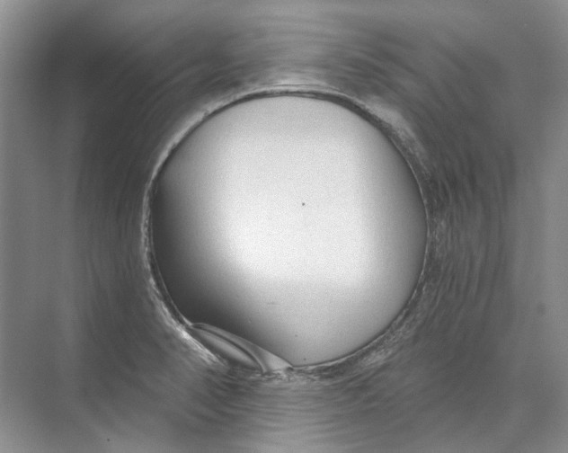 X0000073831374200608311857