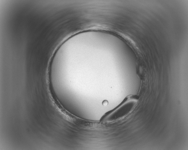 X0000073831375200608311857