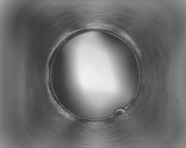 X0000073831376200608311857