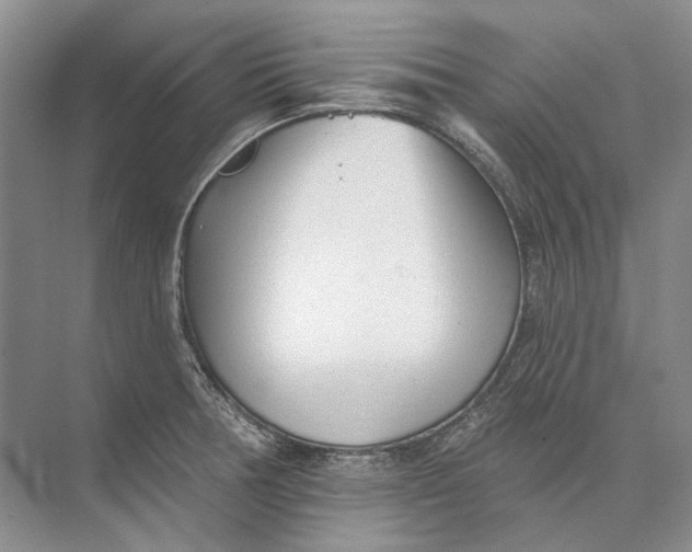 X0000073831378200608311857