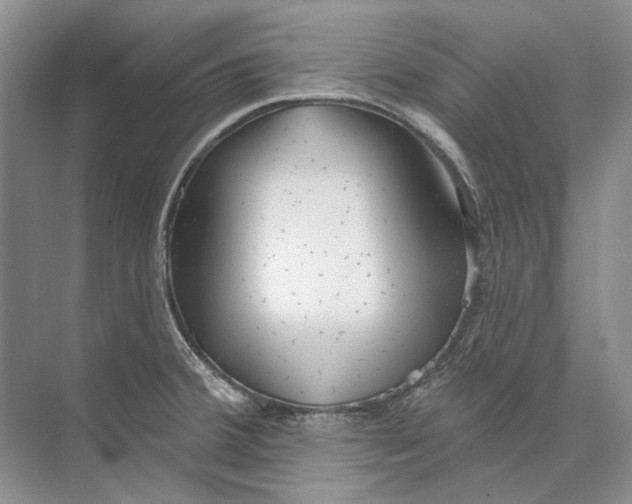 X0000073831380200608311857