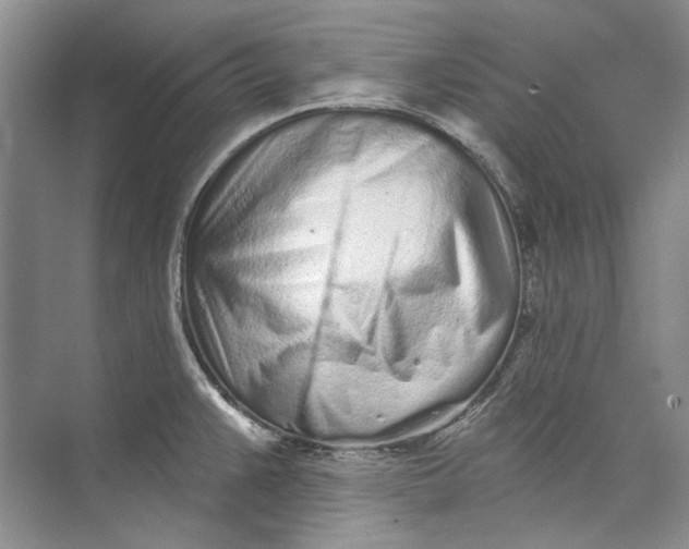 X0000073831383200608311857