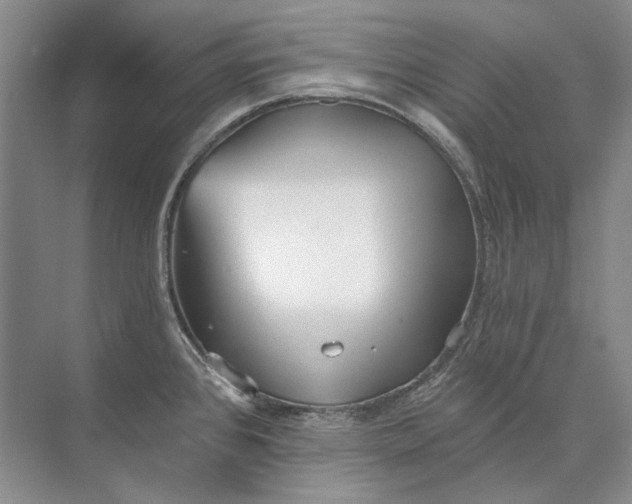 X0000073831384200608311857