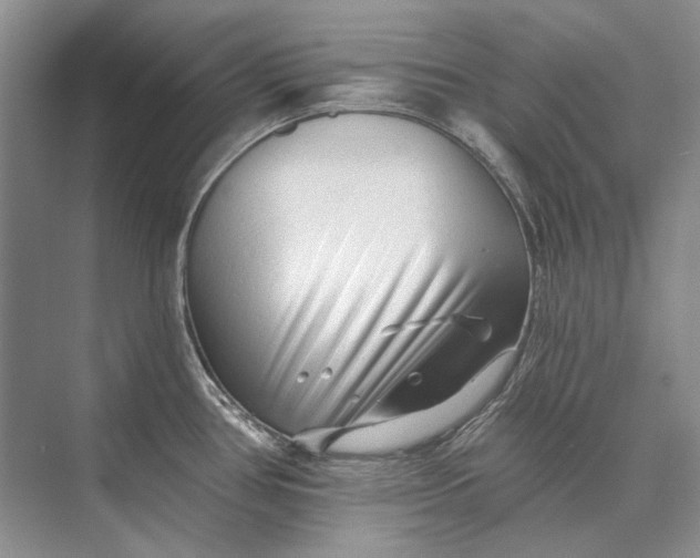 X0000073831386200608311857