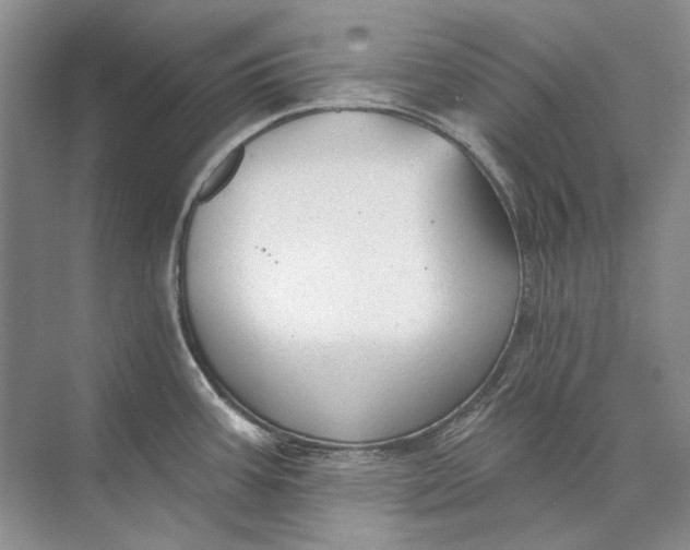 X0000073831387200608311857