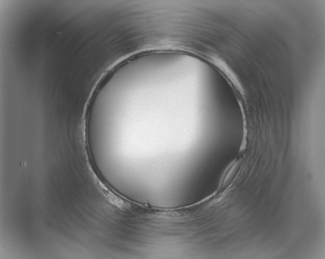 X0000073831388200608311857