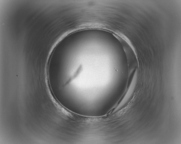 X0000073831389200608311857