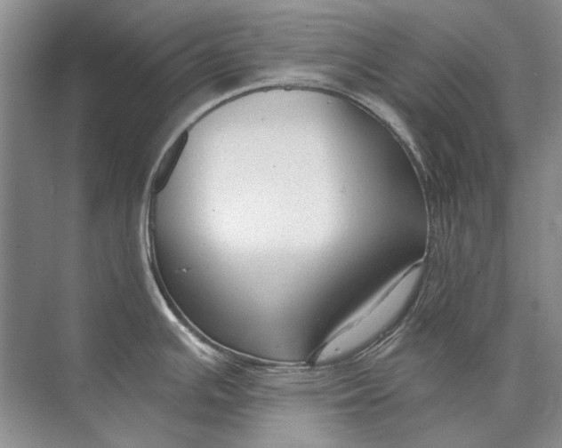 X0000073831391200608311857